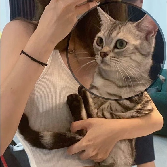 tina745